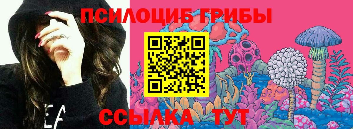 Люберцы  Псилоцибиновые грибы мухоморы  Вход с VPN  Галлюциногенные грибы Psilocybine cubensis 